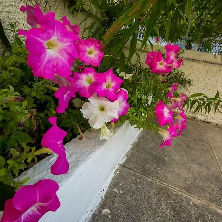 Marietta's Townhouse 펜션 *