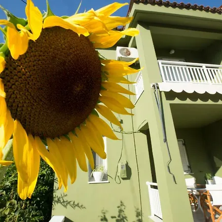 Marietta's Townhouse 아르고스톨리온