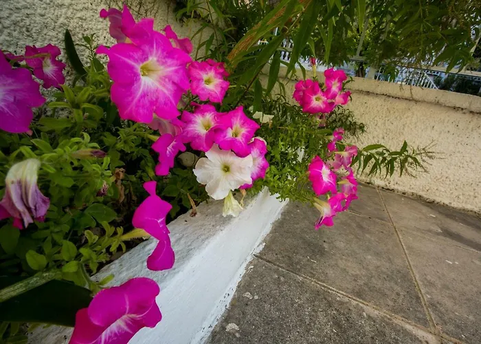 Marietta's Townhouse Tatil Evi *